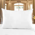 Silk Pillowcase (19 Momme, 100% Mulberry Silk)